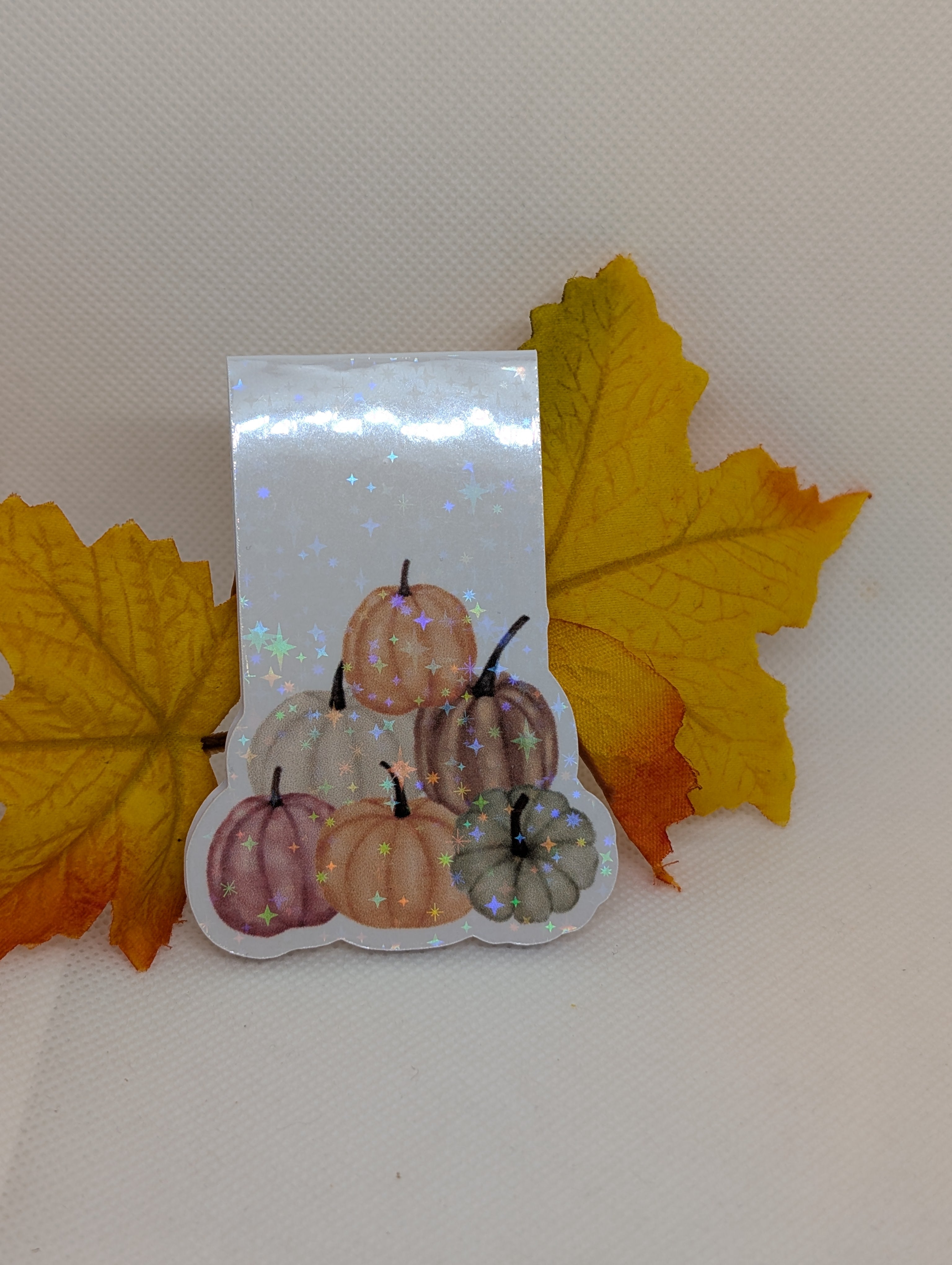 Magnetisches Lesezeichen Kürbisse