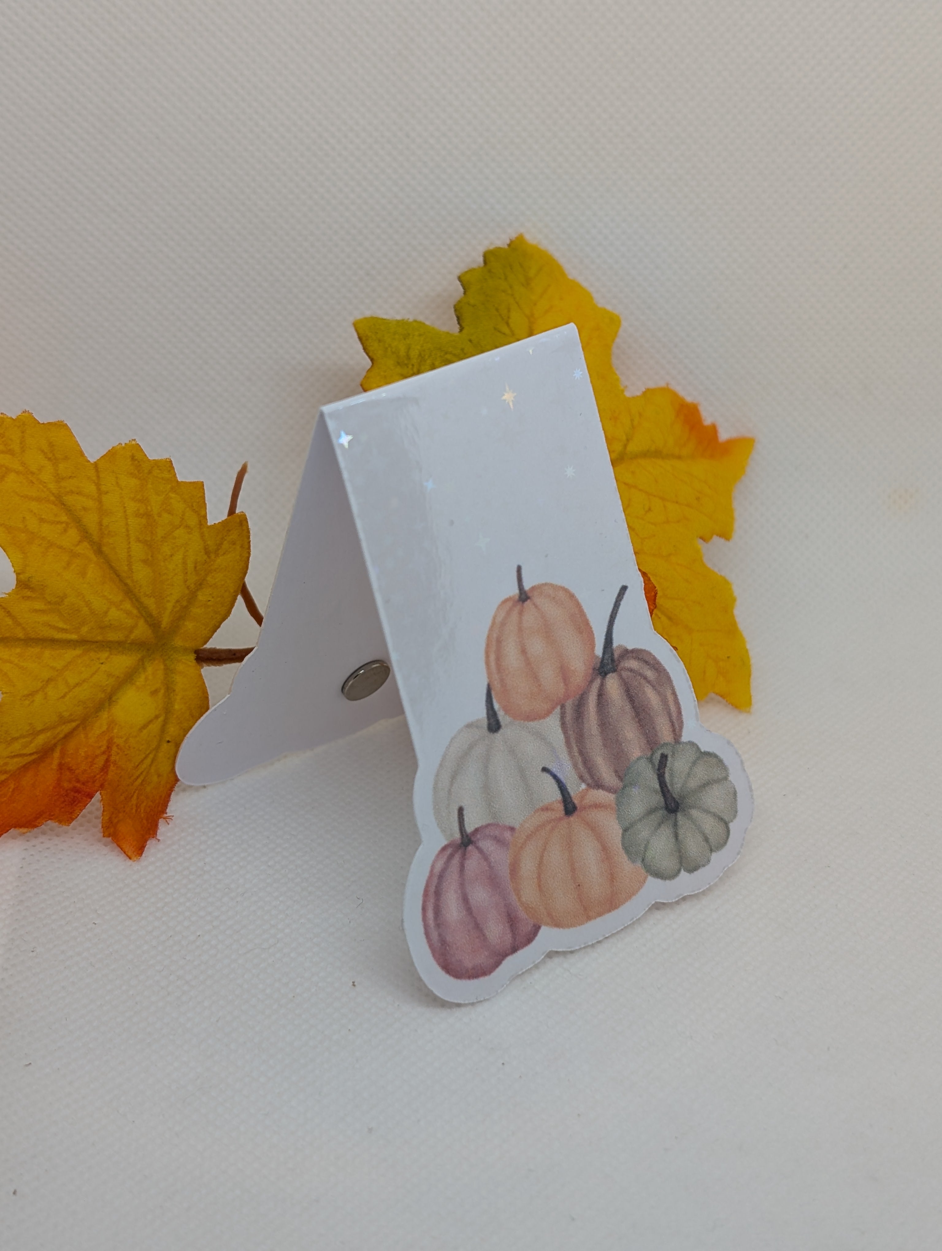 Magnetisches Lesezeichen Kürbisse