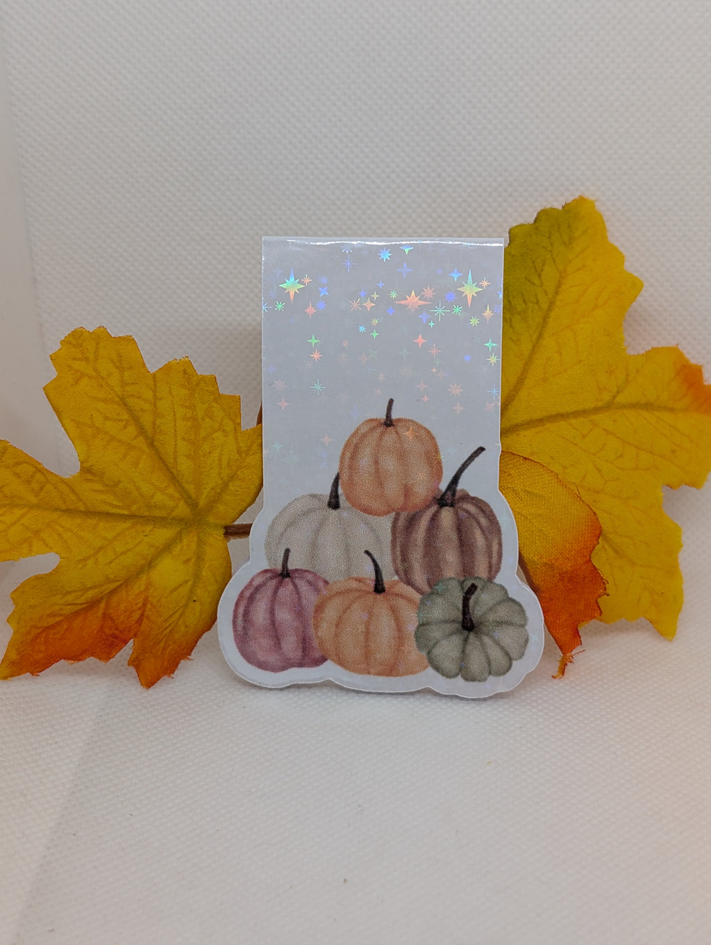 Magnetisches Lesezeichen Kürbisse